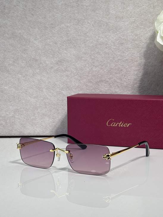 Picture of Cartier Sunglasses _SKUfw79759920fw